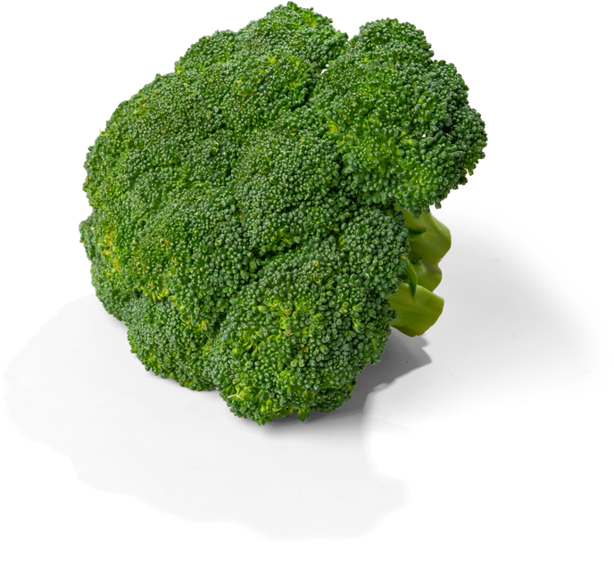 Fresh Broccoli Food