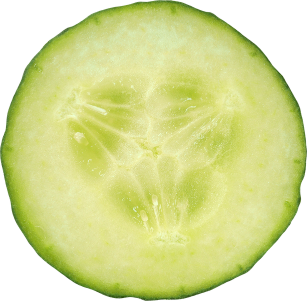 Cucumber Slice